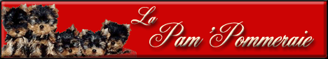 La Pam'POMMERAIE